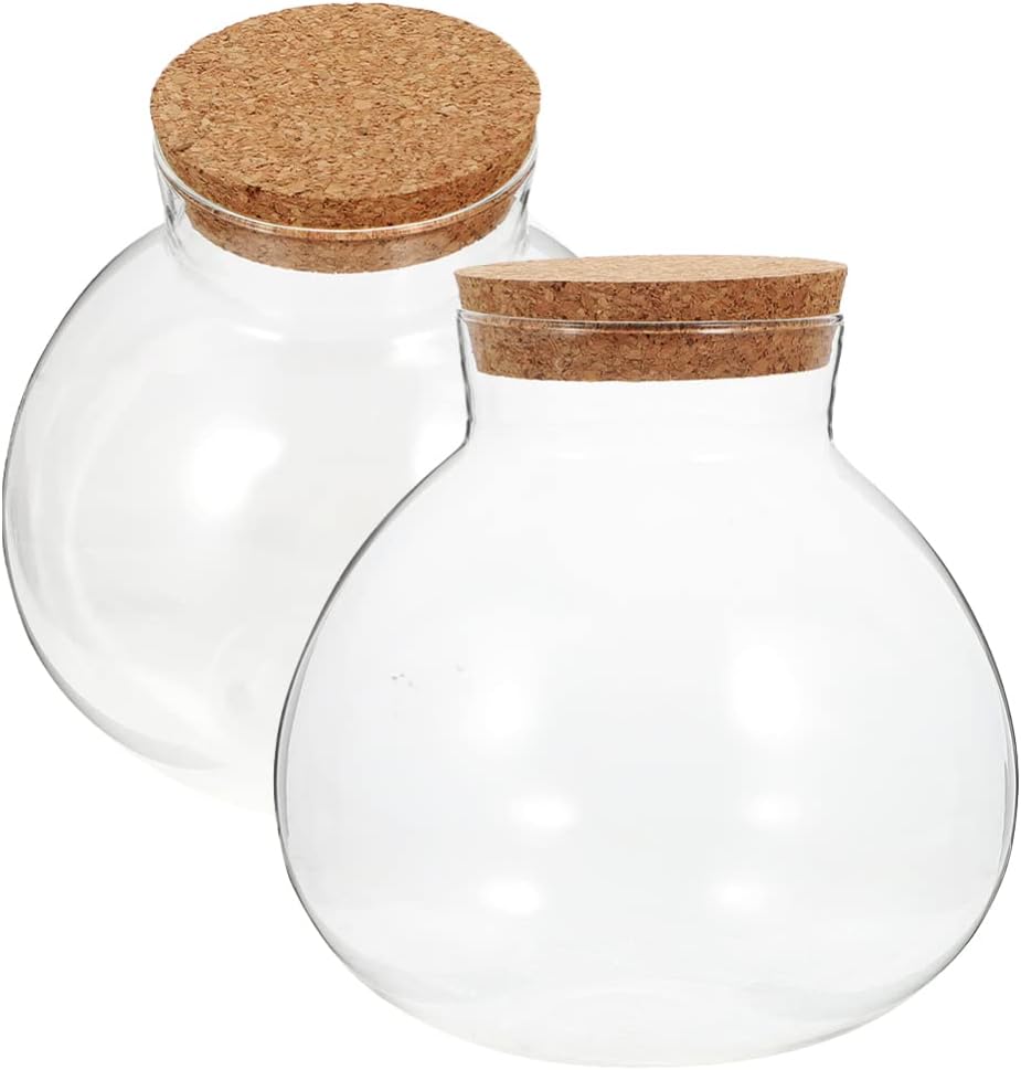 2Pcs Spherical Glass Terrarium Bottles with Cork Lid Clear Airtight Sealed Jars for Micro Landscape Succulent Plants Home Decor 5.11 Inch