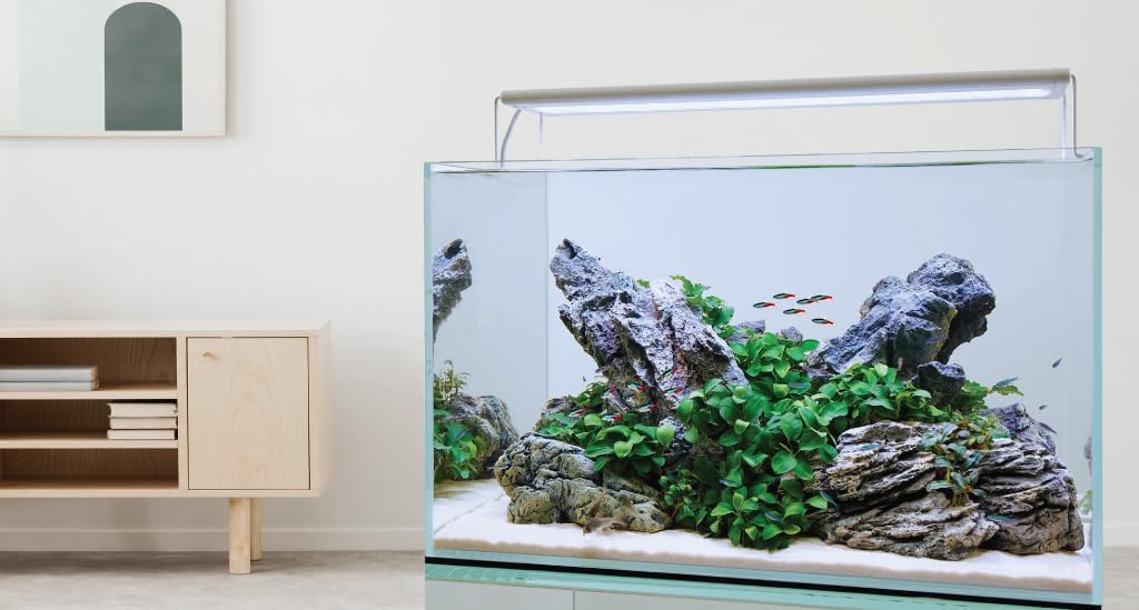 CURRENT USA 18-24" Inch White Full Spectrum Freshwater LED Aquarium Plant Light 10 15 20 25 Gallon | Satellite Plus RGB+ for Aquariums | Wireless 24 Hour Timer Remote Fish Tank Planted Lighting (4320)