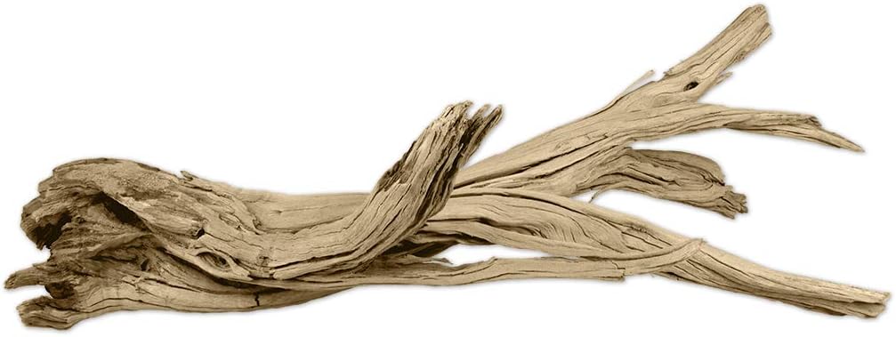 Koyal Wholesale 24" Driftwood Terrarium Decor, Clean California Manzanita Drift Wood Reptile Decor, Driftwood Decor for Home, Desert Reptile Supplies