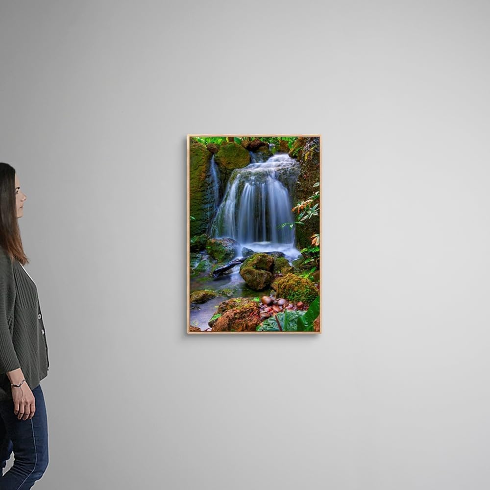 CANVAS ON DEMAND Waterfall in Tropical Rainforest of Fairchild Tropical Gardens, Natural Wood Float Framed Canvas Wall Art Print, Home Decor, Floral, Flowers, Nature Artwork, 24" x36in
