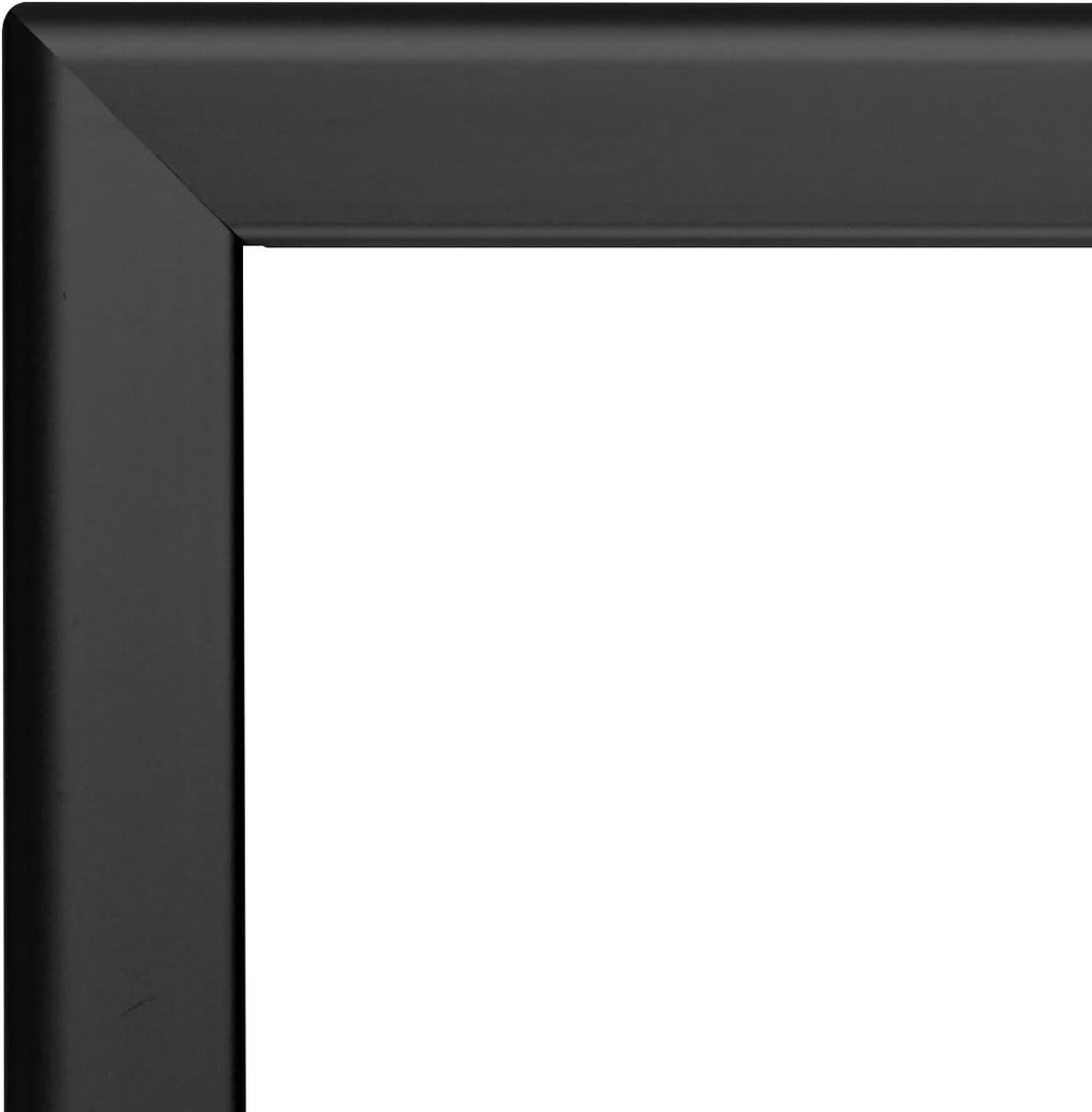 SnapeZo Black 24x37 Snap Frame Professional Series