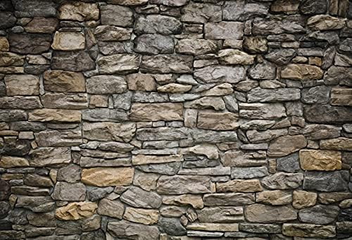 Laeacco 10x8FT Vintage Stone Brick Wall Backdrop Retro Rustic Countryside Grunge Rock Stone Texture Photography Background Birthday Party Newborn Baby Kids Boys Adults Portrait Photo Shooting Props