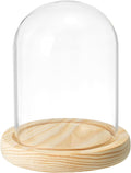 PATIKIL 4.7"x3.5" Clear Cloche Glass Dome, Glass Bell Jar Display Case Tabletop Centerpiece with Wooden Base for Plants Home Decor