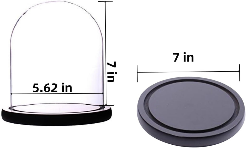 dome glass dome with base glass cloche Glass Cloche Bell Jar Display Dome with Black Wooden Base 6" x 7" (6 * 7) (Dia 6" H 7")
