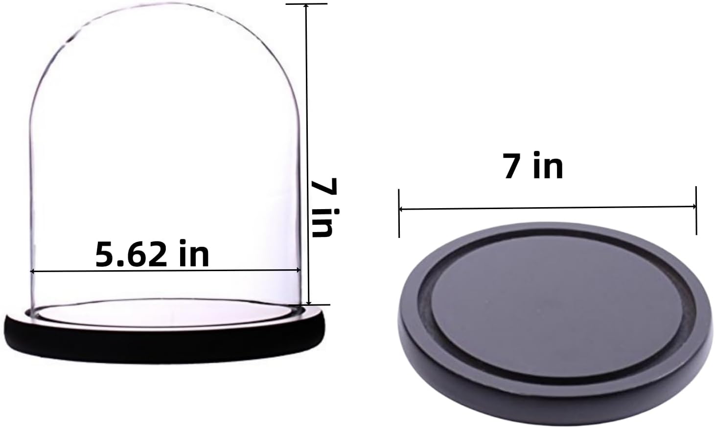 dome glass dome with base glass cloche Glass Cloche Bell Jar Display Dome with Black Wooden Base 6" x 7" (6 * 7) (Dia 6" H 7")