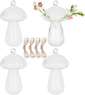4pcs Glass Hanging Planter Air Fern Holder Hanging Hydroponic Vases with Jute Rope Terrarium Plants Hanger Vase Succulent Planter Terrariums for Moss Air Plants Christmas Decor (Mushroom)