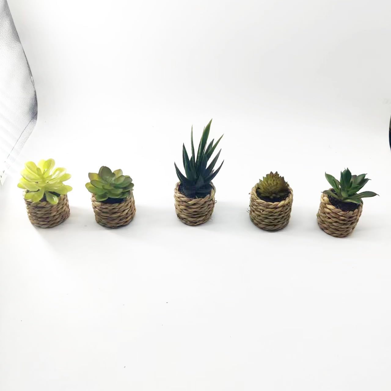 Faux Succulent Plants in Pot, Realistic Resin Clay Mini Succulent Arrangement, Office Desk Decor Stress Relief Prop, Photography Background for Home Cafe (Set of 5)