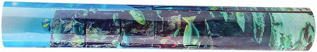 CHICIRIS Fish Underwater Poster Bright PVC Aquarium Background Sticker for Decoration of Aquarium Terrarium, Material for Fish Wall, Underwater Theme (91 * 50cm)