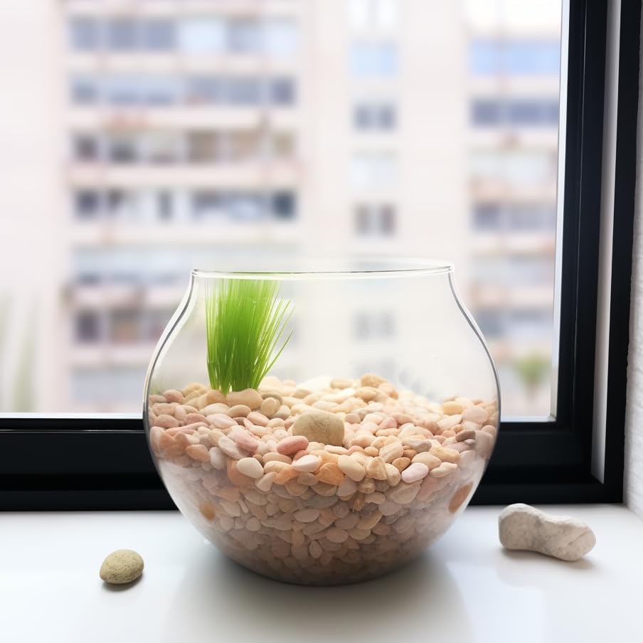 CONSDAN 12 LBS Natural Gravel for Fish Tank, StoneCreek Betta Fish Aquarium Gravel, Vase Filler, River Rocks, Fish Tank Decorations, Perfect for Aquarium Decor, Fish Tank, & Indoor Plant, Pale Yellow