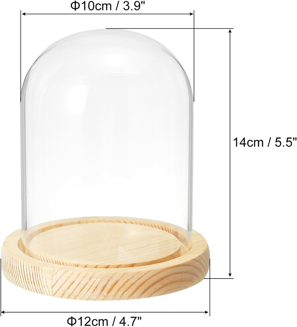 PATIKIL 5.1"x3.9" Clear Cloche Glass Dome, Glass Bell Jar Display Case Tabletop Centerpiece with Wooden Base for Plants Home Decor