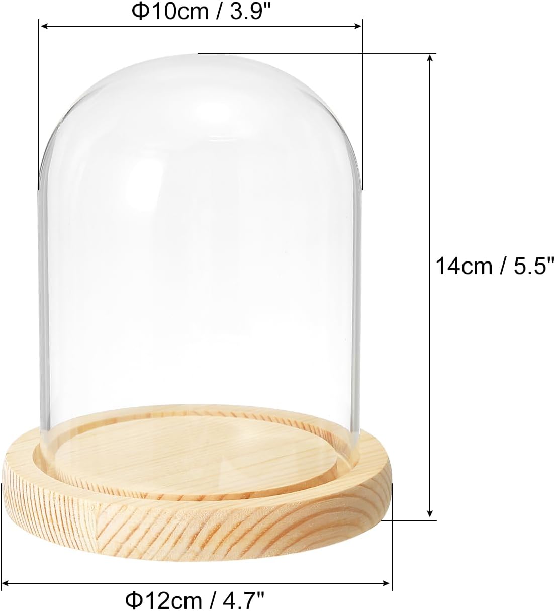 PATIKIL 5.1"x3.9" Clear Cloche Glass Dome, Glass Bell Jar Display Case Tabletop Centerpiece with Wooden Base for Plants Home Decor