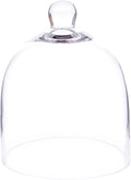 Plymor 6" x 7" Bell Jar Glass Display Dome Cloche (Small - Interior Size 5.75 inch x 5.75 inch)
