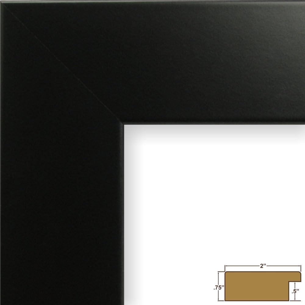 Craig Frames 74273 24 x 36-Inch Picture Frame, Smooth Wrap Finish, 2-Inch Wide, Black Satin