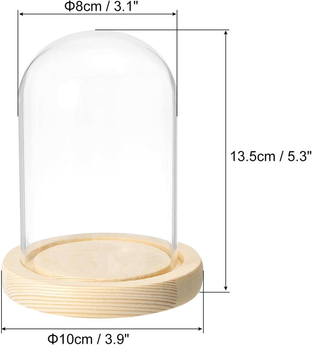 PATIKIL 4.7"x3.1" Clear Cloche Glass Dome, Glass Bell Jar Display Case Tabletop Centerpiece with Wooden Base for Plants Home Decor
