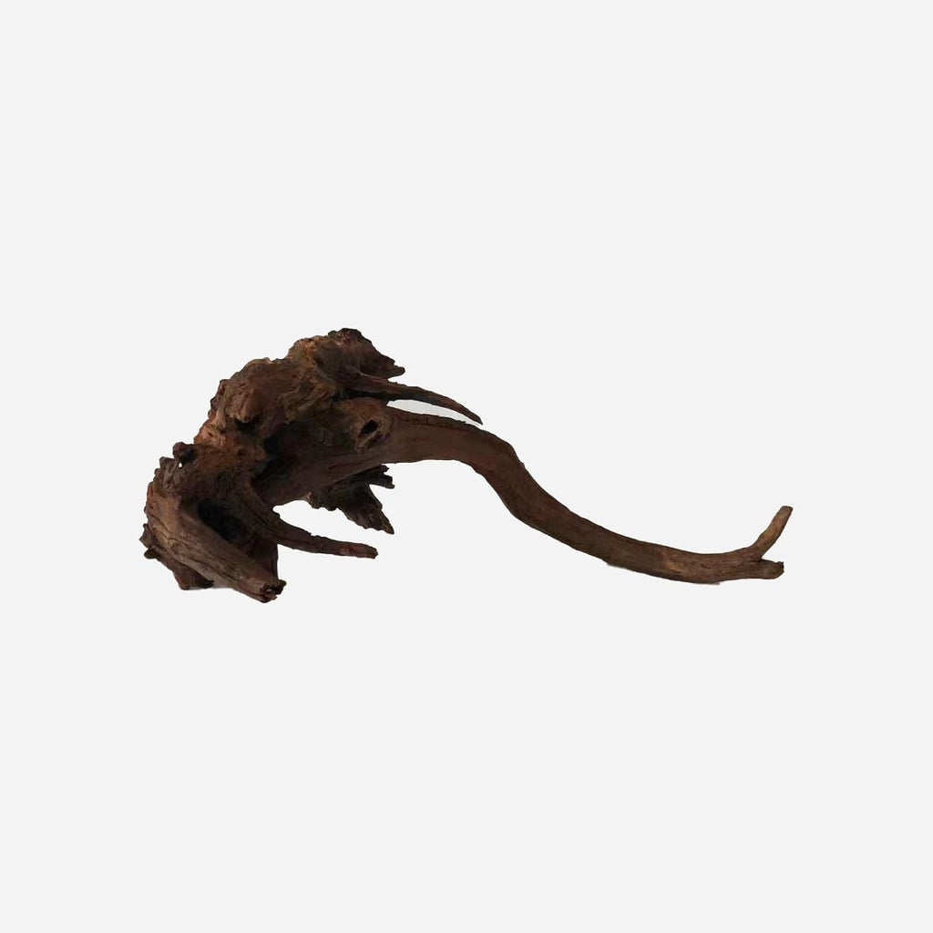 LYPHARD AQUARIUMS Natural Driftwood for Aquarium Decor, L19.69×W11.81×H7.87 Inches Large Drift Wood Decorations for Reptile Hide, Fish Tank, Optional Shapes