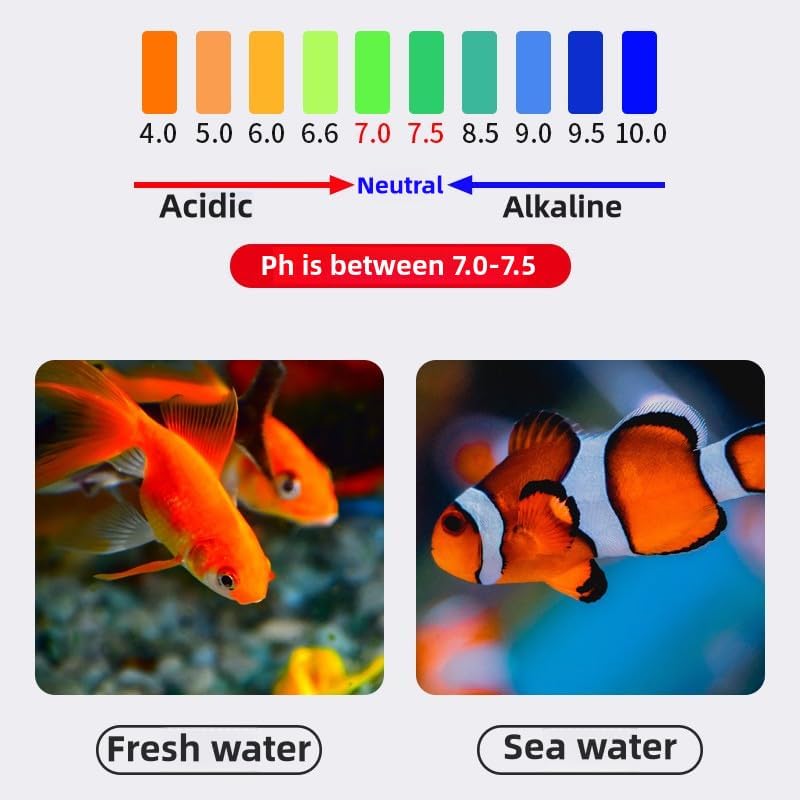 Aquarium Biological Filter Media Hollow Center Ceramic Rings + Bio Balls for Fish Tank (All-in-one Media)