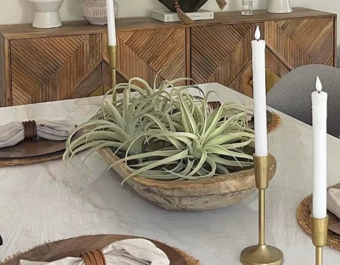 Casktcom® Artificial Air Plants – Set of 3 Large Faux Tillandsia Bromeliads – Realistic Fake Succulent Plants for Home, Office, or Wall Decor – No Maintenance Needed