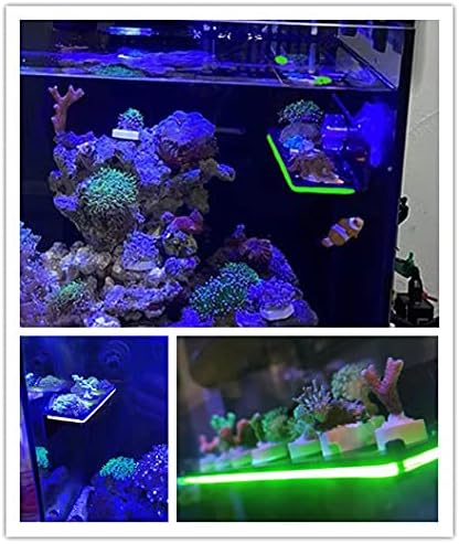 kcrygogo Coral Frag Holder Acrylic Coral Rack with Powerful Double Suction Cup and Placstic Screws Suitable for Household Fish Tanks (2pcs 3 Plug Hole,Fluorescent Green and Orange)