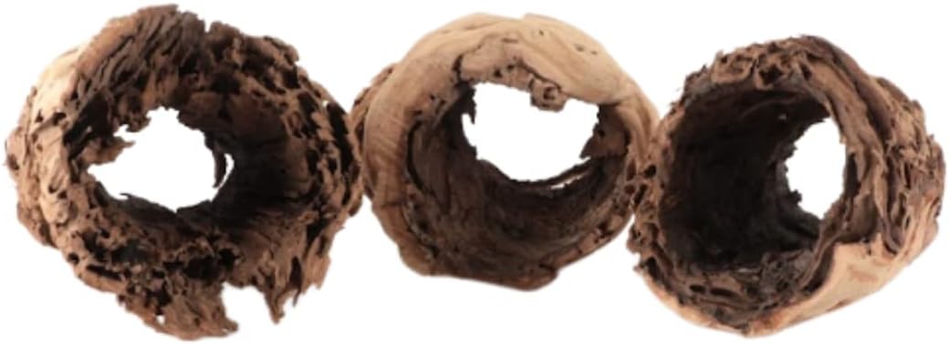 Koyal Wholesale 10" Hollow Grapewood Branch Decor 1Pcs Grapewood Centerpiece Vase Air Plants Sand Blasted Grapevine Wood Untreated Terrarium Wood Driftwood Decor