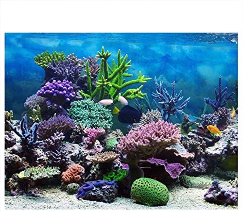 Keenso Aquarium Background Tropical Fish Undersea Fish Background Polyester Background