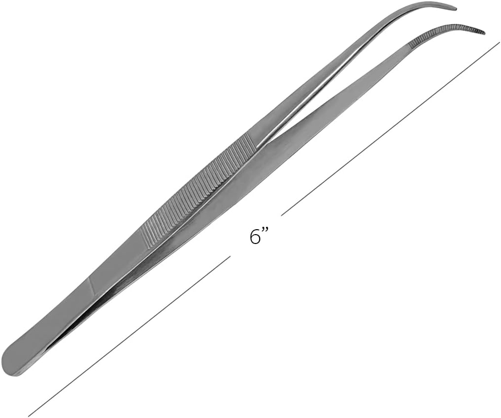 Splinter Forceps - Fine Point - Tweezers Stainless Steel Straight & Curved (Curved 6")