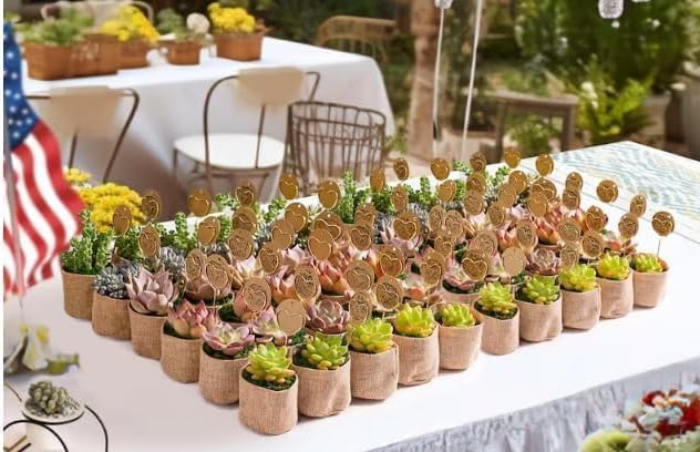 Sprout N Green Live Succulent Plants, 200 Pack Assorted Real Succulents Potted in 2" Starter Pot with Soil Mix, Rare Small Indoor House Plants for Home Garden Wedding Decor Party Favor