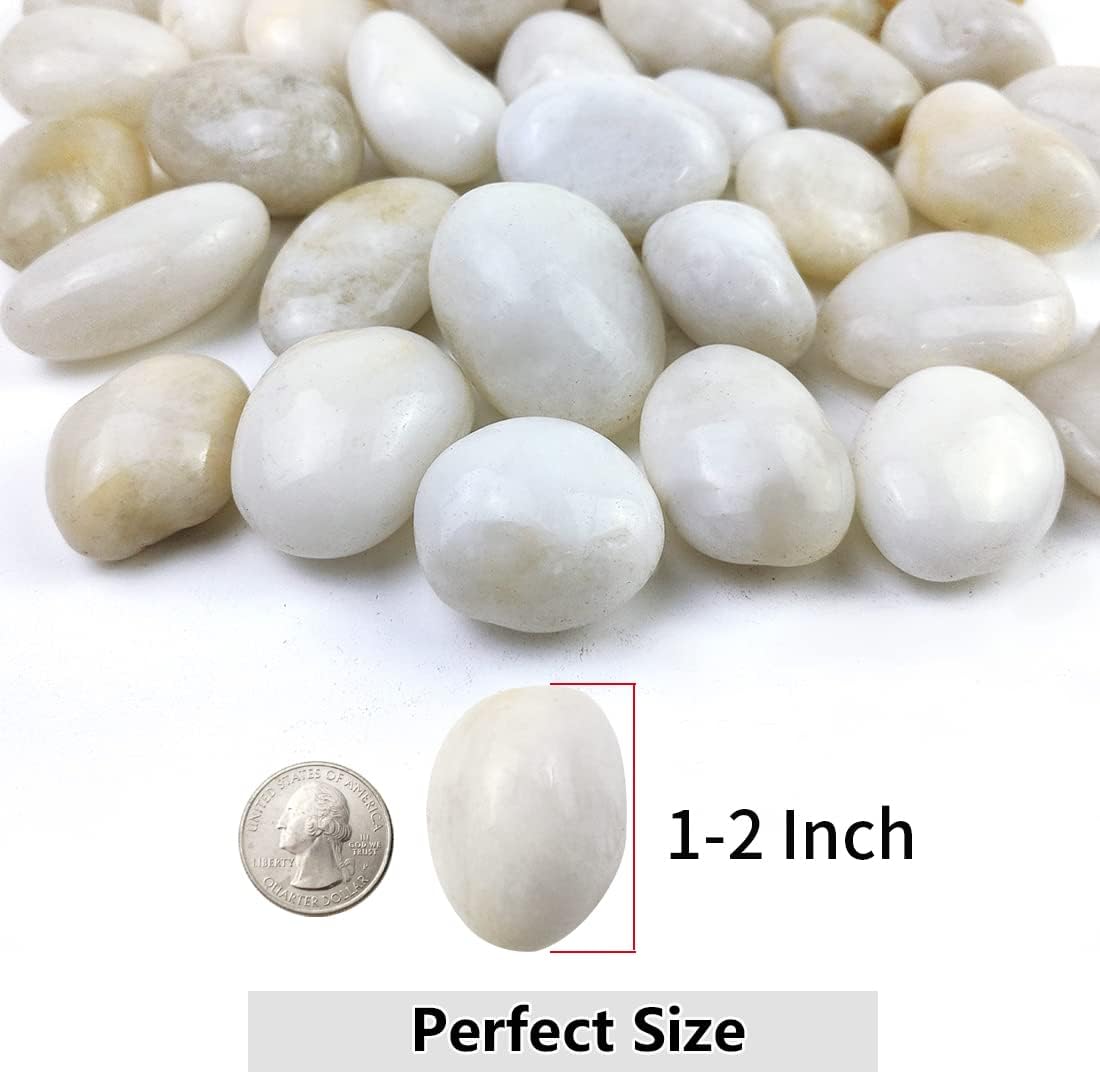 10lbs White River Rocks, 1-2 Inch Natural Pebbles for Indoor Plants, High Polished Decorative Stones Vase Filler Fish Tank Aquariums Landscaping Garden Outdoor and Indoor DIY
