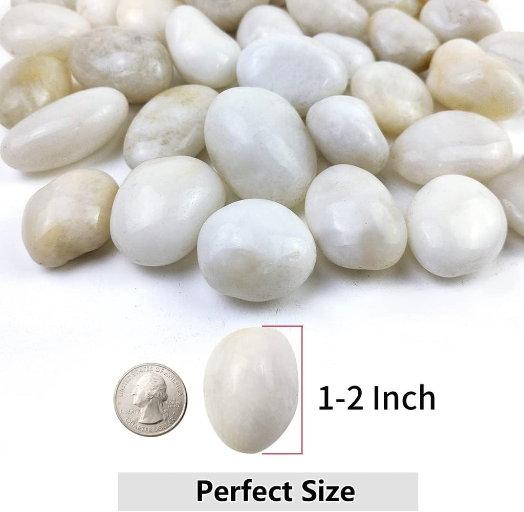10lbs White River Rocks, 1-2 Inch Natural Pebbles for Indoor Plants, High Polished Decorative Stones Vase Filler Fish Tank Aquariums Landscaping Garden Outdoor and Indoor DIY