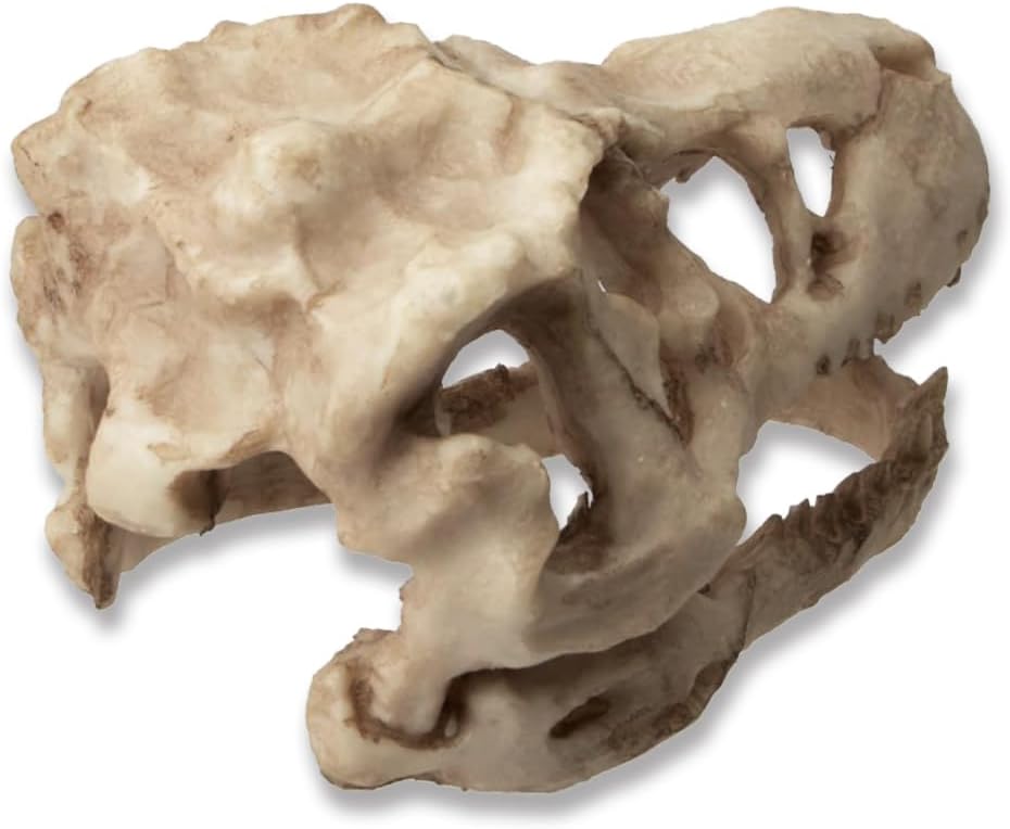 Dinosaur Skull Aquarium Décor - Fish Tank Decoration Hideaway for Fish,Natural Look, 6.3"x4"x4" - Fun Underwater Environment! (6.3")