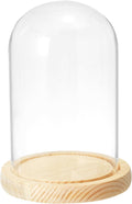 PATIKIL 6.3"x3.9" Clear Cloche Glass Dome, Glass Bell Jar Display Case Tabletop Centerpiece with Wooden Base for Plants Home Decor