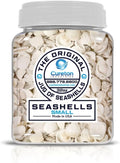32 oz Jug of Natural Small Seashells with Pieces, ⅛-½ inch Size, for Indoor Outdoor Decor, vase Filler, Candles, Art, Crafts, Aquariums, Gardens, planters, tablescapes, terrariums