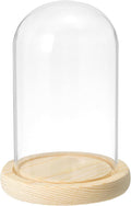 PATIKIL 5.9"x3.5" Clear Cloche Glass Dome, Glass Bell Jar Display Case Tabletop Centerpiece with Wooden Base for Plants Home Decor