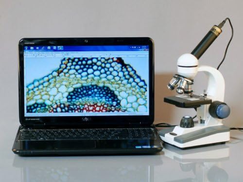 AmScope 40X-1000X Student Biological Compound Microscope with Sturdy All-Metal Framework, Optical Glass Lenses, Mechanical Stage and Coarse & Fine Focusing