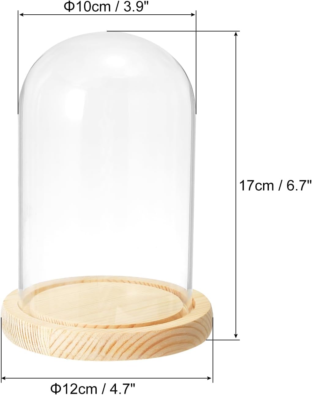 PATIKIL 6.3"x3.9" Clear Cloche Glass Dome, Glass Bell Jar Display Case Tabletop Centerpiece with Wooden Base for Plants Home Decor