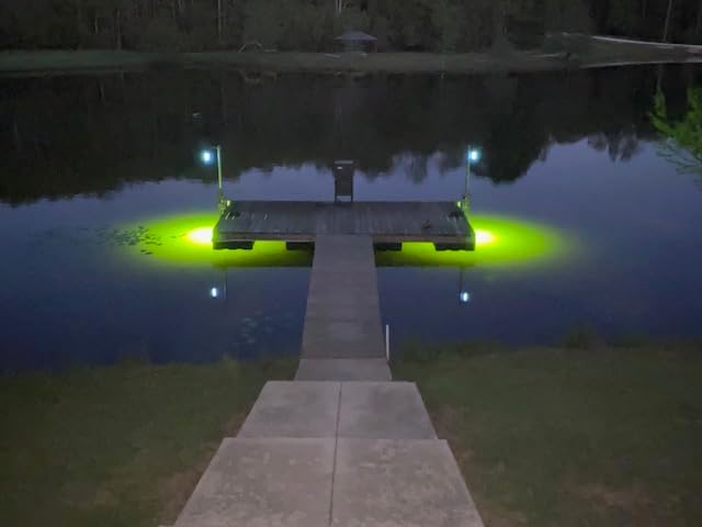 Barnacle Burning Lamps & Saltwater Approved 14,000 Lumens Each, Brilliant Green Double Lamp Underwater Fish Lights, with 50' Cords (28,000 Total Lumens)