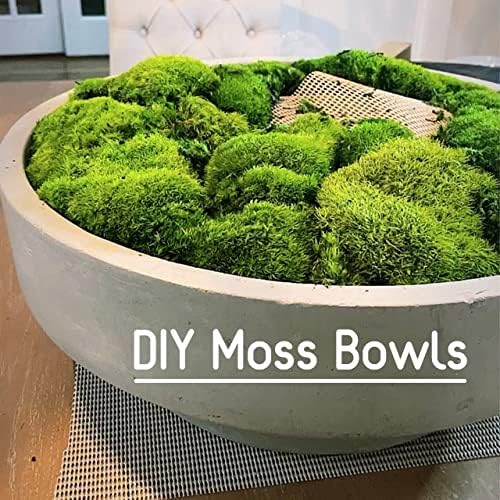Preserved Pole Moss Pillow Bun Cushion Natural Green Decorative Real Natural Green DIY Kit Terrariums Gardenning Art Wall Decor Florist Decor Easter Table Decor Wedding(15.0 sq.ft., Green-B)