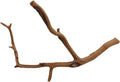 Josh's Frogs Manzanita Wood (Twig)