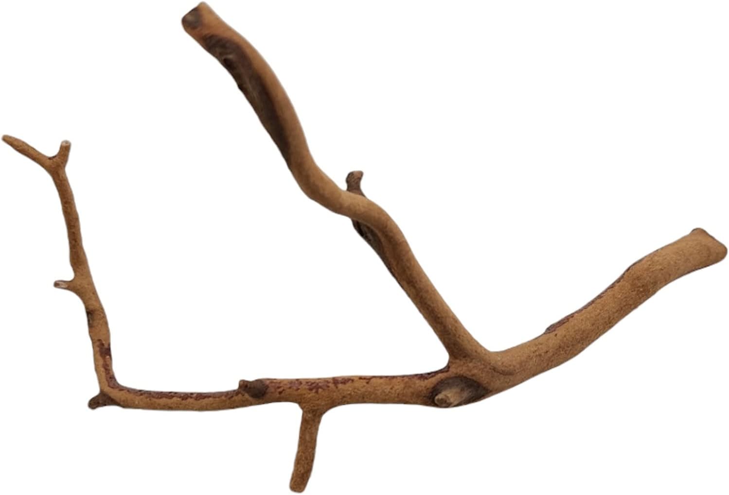 Josh's Frogs Manzanita Wood (Twig)