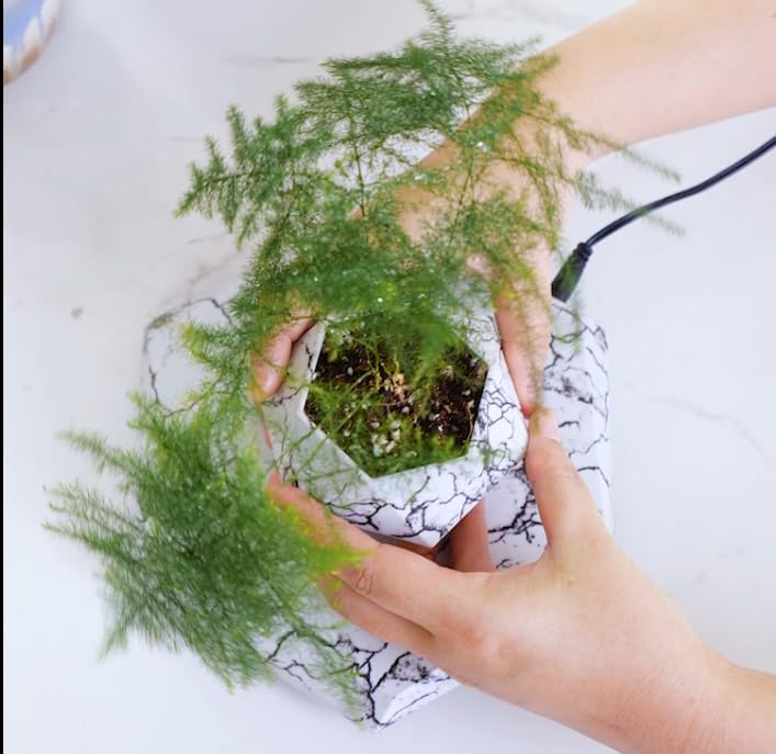MOOCCI Floating Plant Pot - Magnetic Levitating Plant Pot for Succulents, Air Bonsai and Fake Flowers and Plants, Unique Decor for Home, Office and Desk, Father's Day (Marble)