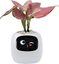 Smart Plant Pot with Expression, AI Intelligent Flower Pot for Indoor Decoration, Smart Garden Pot with Water/Light/Temperature Sensors, Ivy AI Planter(White)