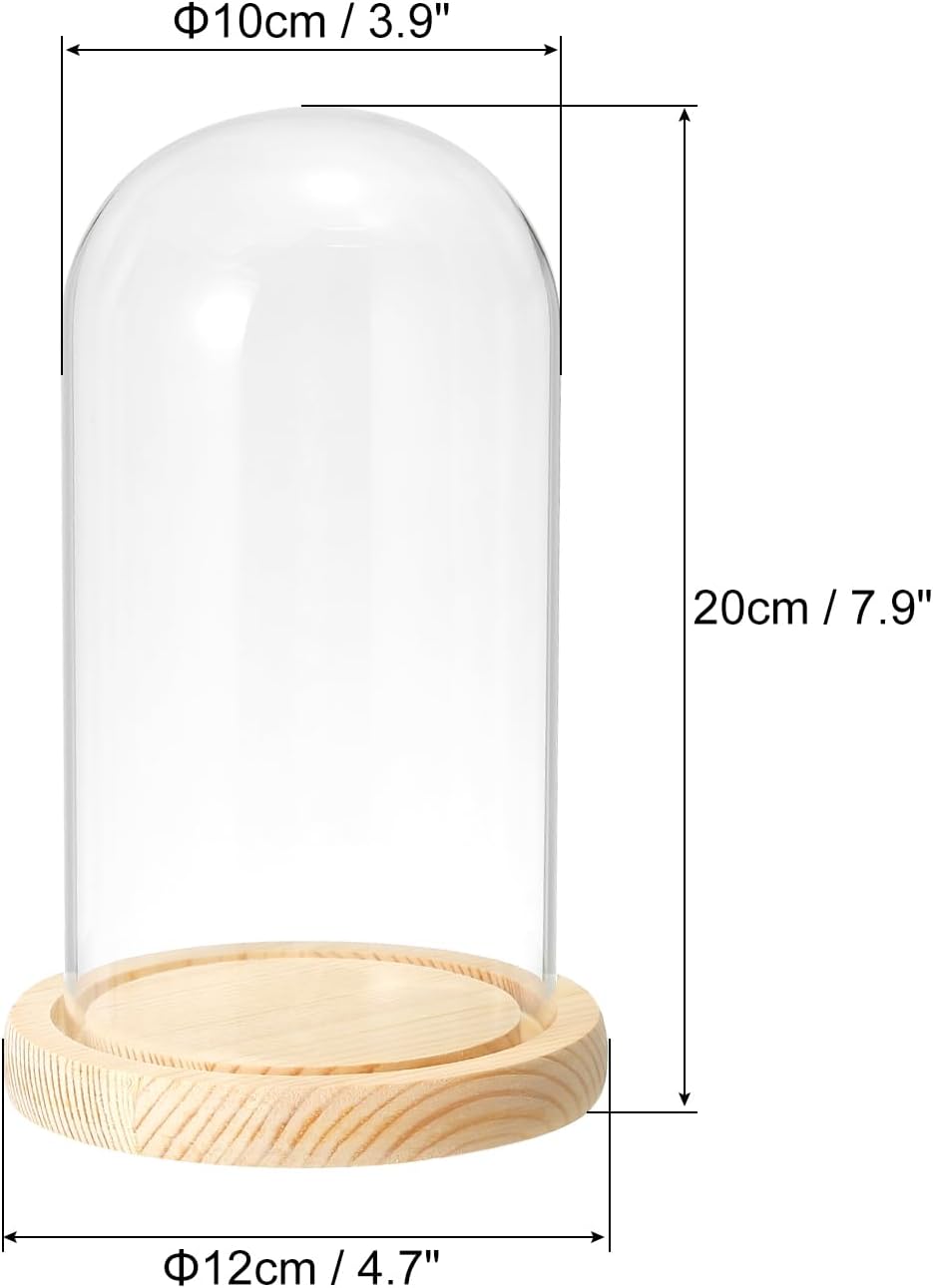 PATIKIL 7.5"x3.9" Clear Cloche Glass Dome, Glass Bell Jar Display Case Tabletop Centerpiece with Wooden Base for Plants Home Decor