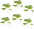 Housoutil 18pcs Artificial Duckweed Leaves Duckweed Tank Accessories Aquatic Ornaments Terrarium Supplies Tank Floating Duckweed Leaf Plants Fake Floating Duckweed Aquarium Floating
