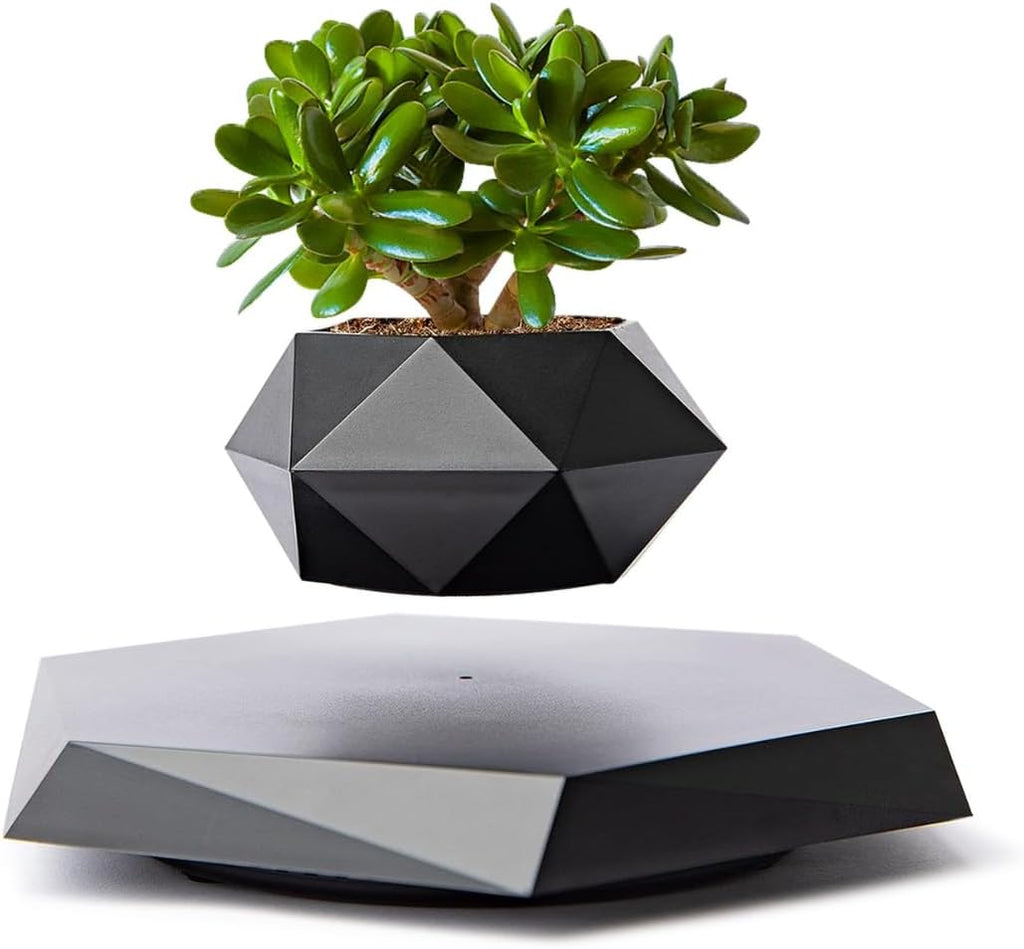 MOOCCI Levitating Plant Pot Floating Plant Potted Plant, Ideal Home Gift for Father's Day, Classmates for Halloween, Thanksgiving, Christmas