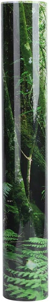 Jonlaki PVC Reptile Box Rainforest Background Poster Self Adhesive Sticker Aquarium Decoration (61 * 41cm)