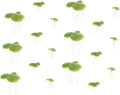 18pcs Artificial Duckweed Aquarium Plant Decor Floating Fish Tank Ornament Lifelike Plastic Water Grass Landscape Decoration for Fish Bowls and Glass Tanks