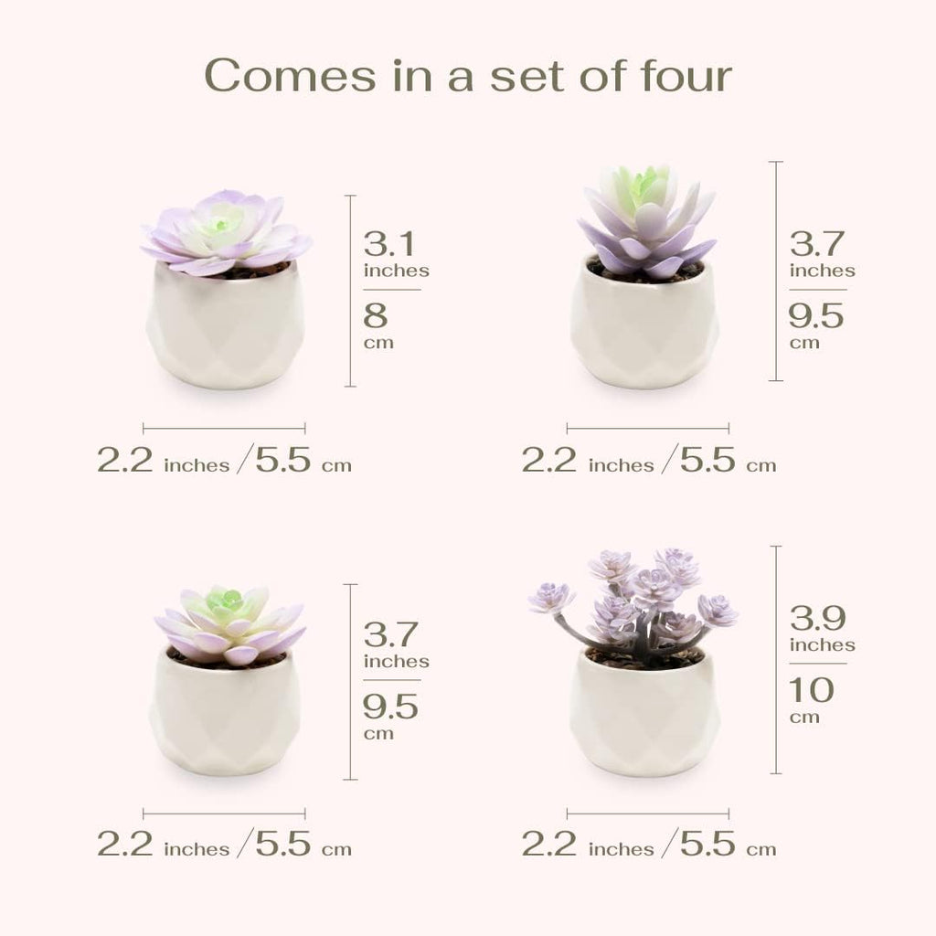 VIVERIE Artificial Purple Succulents Plant in White Ceramic Pots, Set of 4 - Mini Succulent Fake Room Decoration Aesthetics, Office Supplies/Room Decor/Office Halloween&Christmas Gifts