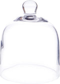 Plymor 5" x 6" Bell Jar Glass Display Dome Cloche (Interior Size 4.75" x 4.5")