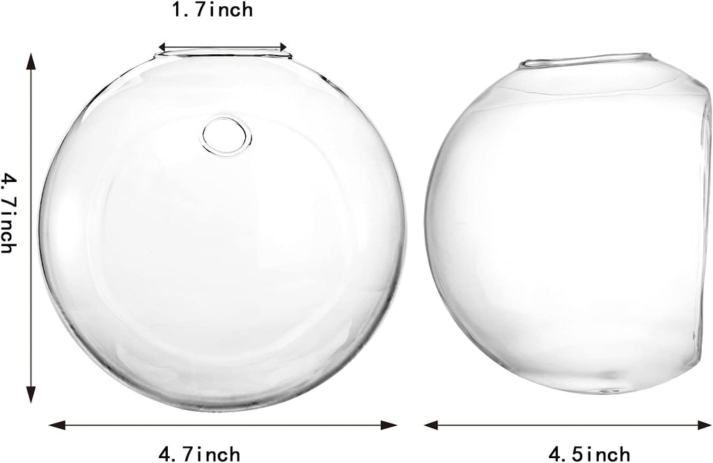 Yarlung 6 Pack Wall Hanging Planters Terrarium, 4.7 Inch Glass Oblate Globe Plants Containers, Wall Mount Clear Flower Vase for Propagating Hydroponics Plants, Air Plants (Plants Not Included)