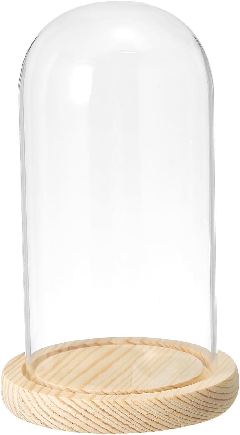 PATIKIL 7.1"x3.5" Clear Cloche Glass Dome, Glass Bell Jar Display Case Tabletop Centerpiece with Wooden Base for Plants Home Decor