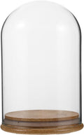 Dome Cloche With Rustic Wooden Base - Glass Cloche Bell Jar Display For Plants Fairy Lights Or Table Decor Collectibles Terrarium